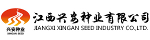 这是描述信息 这是描述信息